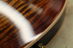 2017 Gibson Les Paul Limited Edition Premium Plus Tiger Burst #117/150