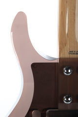 1999 Ampeg Dan Armstrong ADAG1 ADA6 Smoke Electric Guitar