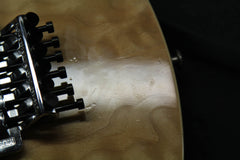 1995 Ernie Ball Music Man EVH Eddie Van Halen Signature Natural Quilt