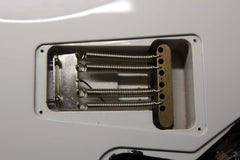 2010 PRS Paul Reed Smith Custom 24 Dave Navarro Signature Jet White