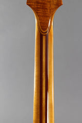 1996 Rick Turner Model 1