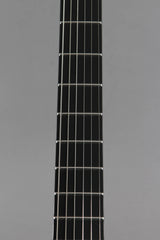 2005 Parker Fly Mojo Flame Single Cut Trans Blue Burst