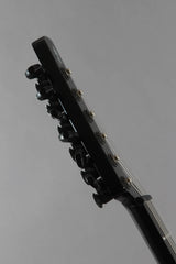 2005 Parker Fly Mojo Flame Single Cut Trans Blue Burst