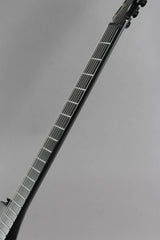 2005 Parker Fly Mojo Flame Single Cut Trans Blue Burst