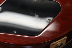 2007 Gibson Les Paul Standard Premium Plus