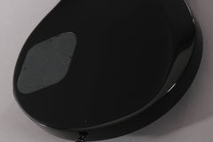 2005 Parker Fly Mojo Flame Single Cut Trans Blue Burst