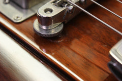 1972 Gibson Firebird V Medallion Series -RARE-