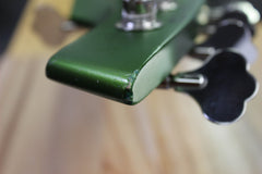 2007 Ernie Ball Music Man Bongo 5 HH Dargie Delight I -RARE 1ST RUN-