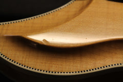 2007 Rickenbacker 381V69 12-String Mapleglo