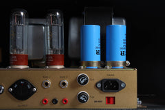 Fortin Amplification Meshuggah #022