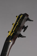 2013 Warwick Custom Shop Thumb 6 String Fretless BO Bass Guitar