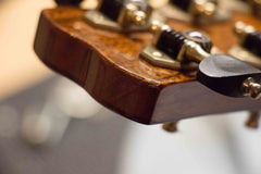 2009 Paul Reed Smith PRS Steve Fischer Era Tonare Grand Cocobolo