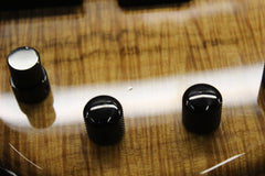 2007 Modulus Quantum Q5 5 String Bass -KOA TOP-