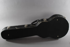 2008 Gibson Limited Edition Les Paul Standard Silverburst ~Video Of Guitar~