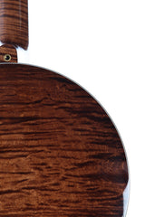 2008 Nechville Classic Deluxe Banjo