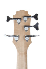 2014 Zon Sonus RT5 5 String Bass in Transparent Red