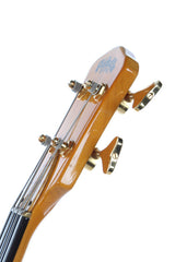 1988 Pedulla Buzz 4 String Fretless Neck Thru