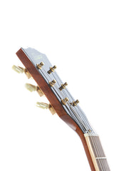 2004 Gibson Les Paul Standard Gecko Burst