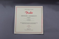 2017 Fender American Professional Deluxe Shawbucker Telecaster Silverburst