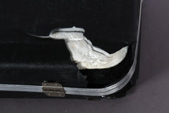 2005 Modulus Quantum Q6 6-String Fret-less Bass Bubinga Top