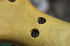 1989 Ibanez JEM77FP Floral Pattern Steve Vai