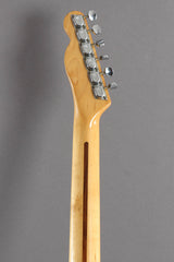 1973 Fender Thinline Telecaster Natural