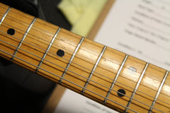 1973 Fender Thinline Telecaster Natural