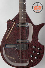Jerry Jones Electric Sitar