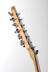 2005 Ibanez Jem 77 BRMR Steve Vai Bad Horsie Mirror Guitar