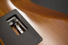 2015 Charvel Guthrie Govan Signature Bird's Eye Maple Top Electric Guitar