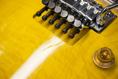 Gibson Custom Shop Alex Lifeson Les Paul Axcess Viceroy Brown AL 918