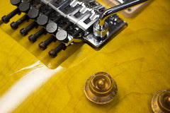 Gibson Custom Shop Alex Lifeson Les Paul Axcess Viceroy Brown AL 918