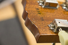 Gibson Custom Shop Alex Lifeson Les Paul Axcess Viceroy Brown AL 918