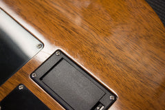 Gibson Custom Shop Alex Lifeson Les Paul Axcess Viceroy Brown AL 918