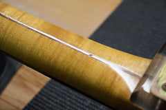 1978 Renaissance SPG "Lucite" Electric Guitar