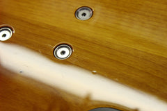 2006 Modulus Quantum Q 5 String Fretless Semi-Hollow Bass Guitar -RARE-