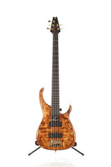 2004 Modulus Quantum Q 5 String Bass Chechen Top