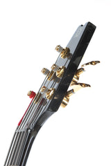 2004 Modulus Quantum Q 5 String Bass Chechen Top