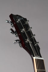 2016 Gibson Limited Edition Les Paul Standard 7 String Tobacco Burst