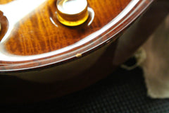 2008 PRS Paul Reed Smith Mark Tremonti Signature