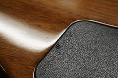 2016 Gibson Les Paul Standard Limited Edition Birdseye Maple Honeyburst