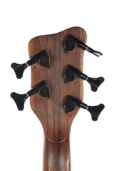 2002 Warwick Thumb Neck Thru NT-5 String Bass