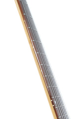 1991 Ken Smith Burner 6 String Bass