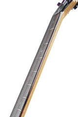 1991 Ken Smith Burner 6 String Bass