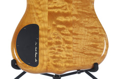 1991 Ken Smith Burner 6 String Bass