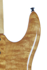 1991 Ken Smith Burner 6 String Bass