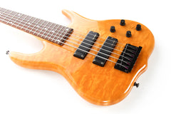 1991 Ken Smith Burner 6 String Bass