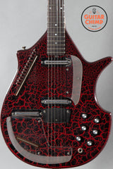 Jerry Jones Electric Sitar