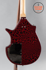 Jerry Jones Electric Sitar