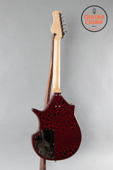 Jerry Jones Electric Sitar